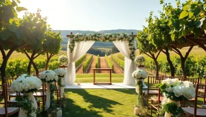 Captivating Clarksburg Wedding Venues featuring a vineyard ceremony space under bright sunlight.